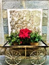 Poinsettia plant, ancient wagon and paintings during Christmas time