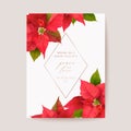 Poinsettia Realistic Vector Christmas Card, Floral Happy New Year Illustration. Mistletoe Frame Design