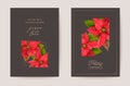 Poinsettia Realistic Vector Christmas Card Set, Floral Happy New Year Illustration. Mistletoe Frame Design