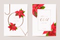 Poinsettia Realistic Vector Christmas Card Set, Floral Happy New Year Illustration. Mistletoe Frame Design