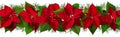 Poinsettia Christmas red flowers and fir tree branches horizontal seamless pattern