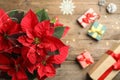 Poinsettia traditional Christmas flower and holiday items on wooden table, top view. Space for text Royalty Free Stock Photo