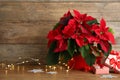 Poinsettia traditional Christmas flower, string lights and gift boxes on wooden table. Space for text Royalty Free Stock Photo