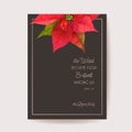 Poinsettia Winter Floral Card, Christmas Vector Wedding Invitation. Holiday Party greeting banner template Royalty Free Stock Photo