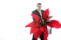 Poinsettia For You Royalty Free Stock Photo