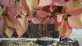 Poinsettias with chickadees and warm wishes