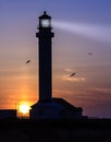 Point Arena, California Royalty Free Stock Photo