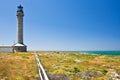 Point Arena Lighthouse