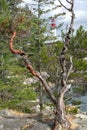 Point Atkinson Lighthouse, West Vancouver, BC, Canada Royalty Free Stock Photo