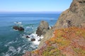 Point Bonita, California Royalty Free Stock Photo