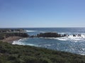 Point Buchon Trail - wildflowers, bluffs and caves with ocean view Royalty Free Stock Photo