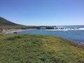 Point Buchon Trail - wildflowers, bluffs and caves with ocean view Royalty Free Stock Photo