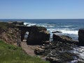 Point Buchon Trail - wildflowers, bluffs and caves with ocean view Royalty Free Stock Photo