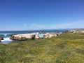 Point Buchon Trail - wildflowers, bluffs and caves with ocean view Royalty Free Stock Photo