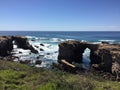 Point Buchon Trail - wildflowers, bluffs and caves with ocean view Royalty Free Stock Photo