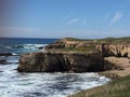 Point Buchon Trail - wildflowers, bluffs and caves with ocean view Royalty Free Stock Photo