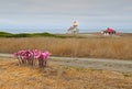 Point Cabrillo lighthouse on a cloudy day Royalty Free Stock Photo