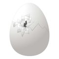 Point eggshell icon cartoon vector. Egg broken