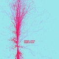 Point Explode. Array with Dynamic Emitted Particles