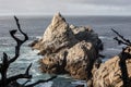 Point Lobos California Scenery