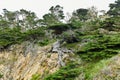 Point Lobos State Natural Reserve - California Royalty Free Stock Photo
