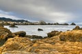 Point Lobos State Natural Reserve - California Royalty Free Stock Photo