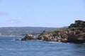 Point Lobos State park in California Royalty Free Stock Photo