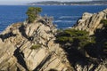 Point Lobos State Park, Monterey, California Royalty Free Stock Photo