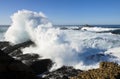 Point Lobos State Park, Monterey, California Royalty Free Stock Photo