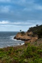 Point Lobos State Park ocean view and cypress Royalty Free Stock Photo