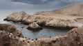 Point Lobos State Park ocean view Royalty Free Stock Photo