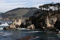 Point Lobos State Reserve, California Royalty Free Stock Photo