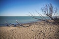 Point Pelee National Park beach in the fall at sunset time, lake Royalty Free Stock Photo