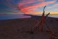 Point Pelee National Park in Ontario, Canada Royalty Free Stock Photo