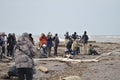 Group of people bird watching at the Tip of Point Pelee