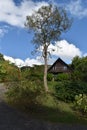 Point-a-Pierre Wildfowl Trust, Trinidad and Tobago