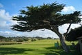 Point Pinos Lighthouse and Golf Course