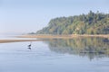 Point Roberts Dawn, Washington State