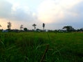 Point of view fields in the day