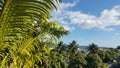 Point of view on papeete city french polynesia