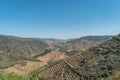 Point of view shot from historic train in Douro region Portugal. Features a wide view of terraced vineyards in Douro Valley Alto