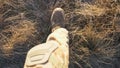 Point of view to female feet of ukrainian soldiery going in brown boots through dry grass at countryside. Legs of young