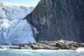 Point Wild at Elephant Island, where Sir Ernest Shackleton let his shipwrecked men until Captain Pardo came to rescue them. Royalty Free Stock Photo