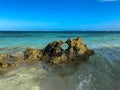 Pointe a Pomme, Cap Chevalier, Sainte-Anne, Martinique Royalty Free Stock Photo