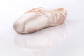 Pointe shoe