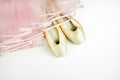 Pointe shoes and a pink tutu on a white background Royalty Free Stock Photo