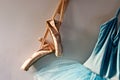 Pointe shoes and tutu