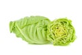 Pointed cabbage isolated on white background Royalty Free Stock Photo