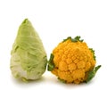 Pointed cabbage and Romanesco broccoli