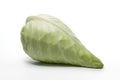 Pointed Cabbage on white background Royalty Free Stock Photo